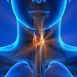 Tireoide e enxaqueca - qual a relação?