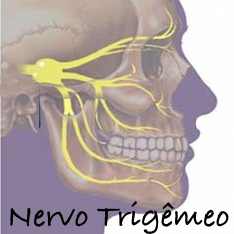nervo trigêmeo