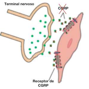 Bloqueio do CGRP