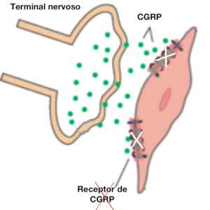 Bloqueio de Receptores de CGRP